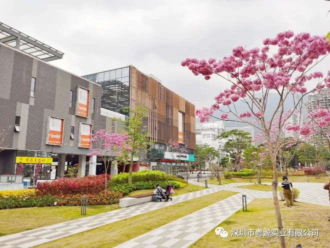 深圳市粤源实业有限公司中标喜讯